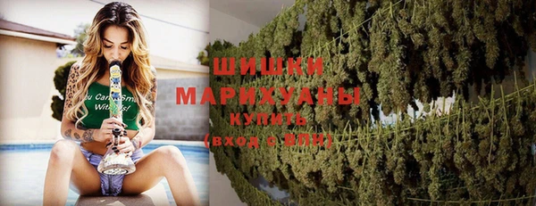 тгк Кущёвская