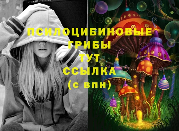 тгк Кущёвская
