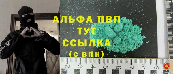 стаф Санкт-Петербург
