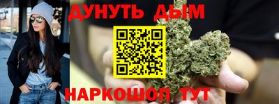 спайс Кингисепп