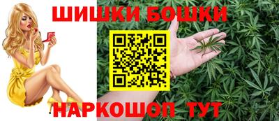 спайс Кингисепп