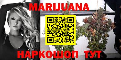 стафф Кинель
