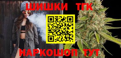 спайс Кингисепп