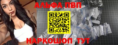 спайс Кингисепп