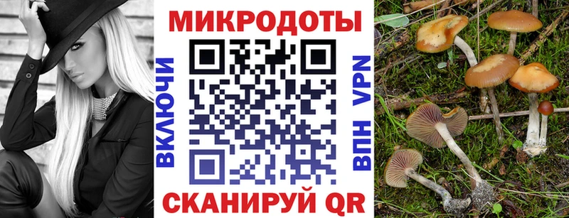 Псилоцибиновые грибы ЛСД цена наркотик Новочеркасск